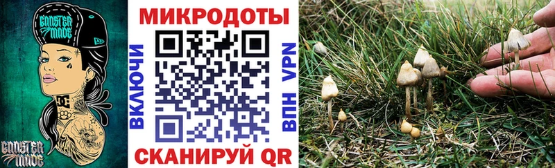 купить закладку  Славск  Галлюциногенные грибы Psilocybe 